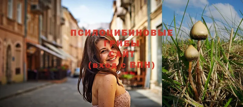 Псилоцибиновые грибы MAGIC MUSHROOMS  купить наркоту  Надым 